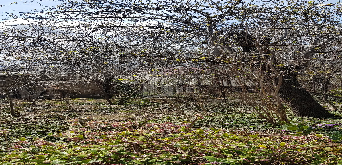 იყიდება სამოსახლო მიწის ნაკვეთი, სვანეთის უბანი