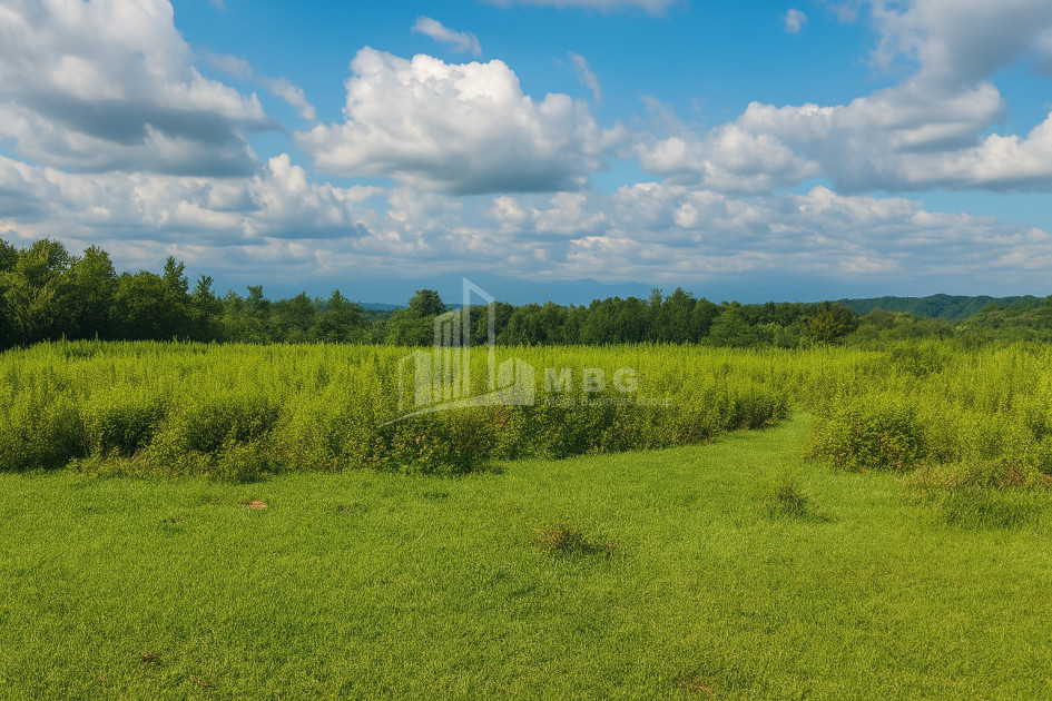 For Sale Land Eki village Senaki Samegrelo   Upper Svaneti