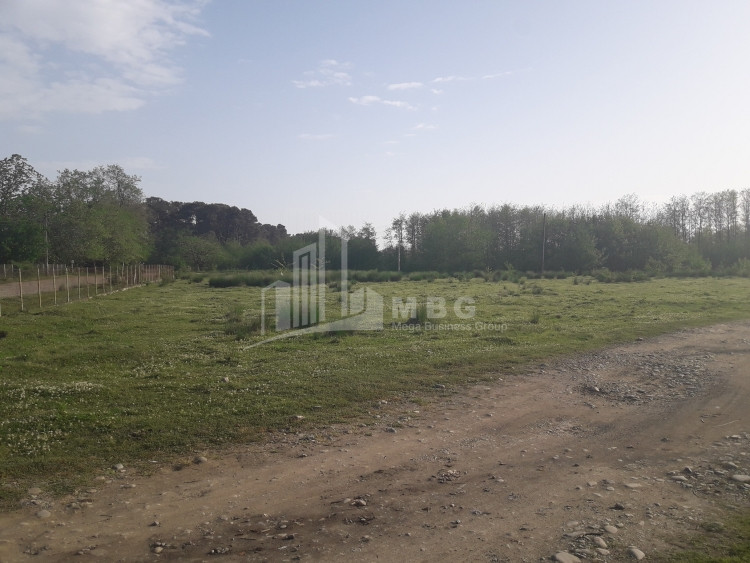 For Sale Country Land, in Lanchkhuti