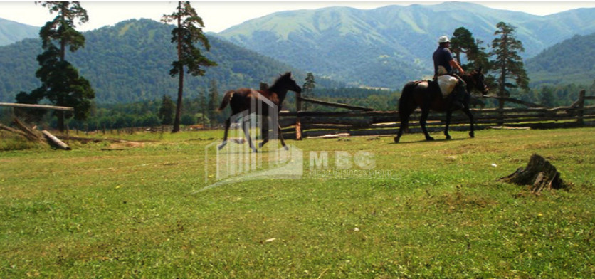 For Sale Land Tsikhisjvari Borjomi Samtskhe   Javakheti