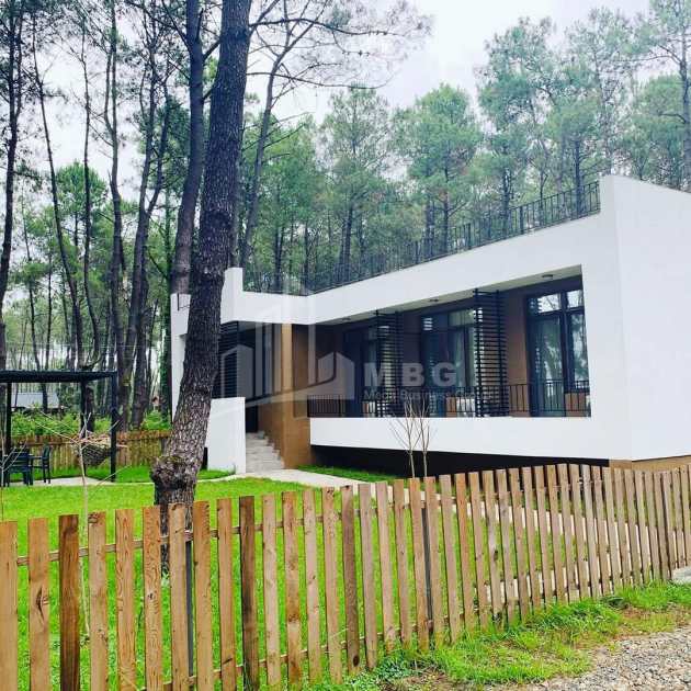 For Sale House - Villa, in Daba Shekvetili