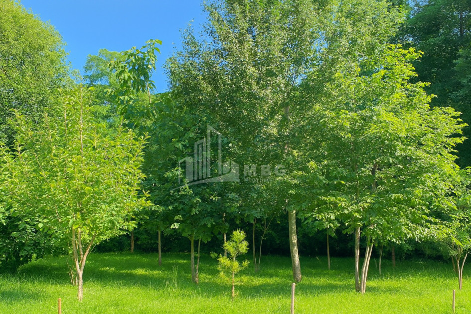 იყიდება ბიზნესი კომერციული ფართი თელავი კახეთი