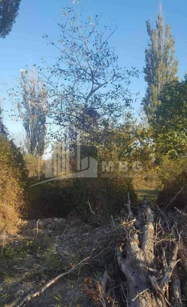 For Sale Country Land, in Aghaiani