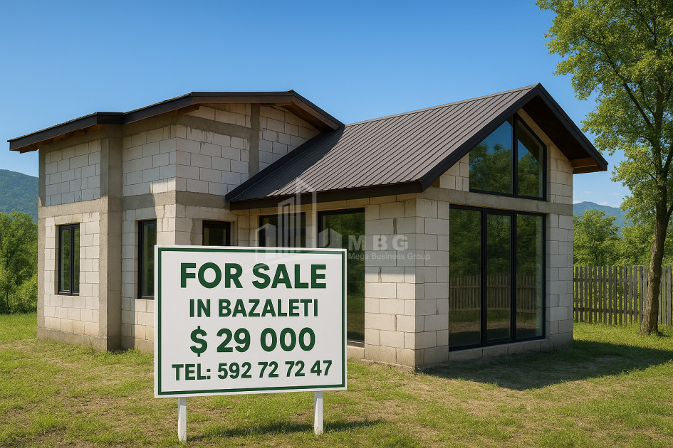 For Sale House Villa Dusheti Mtskheta   Mtianeti