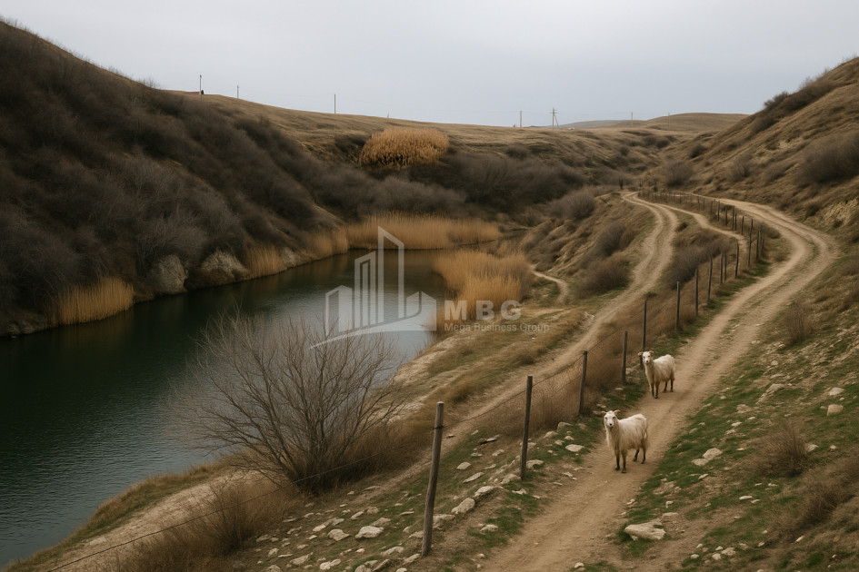 For Sale Land Gachiani Gardabani Kvemo Kartli
