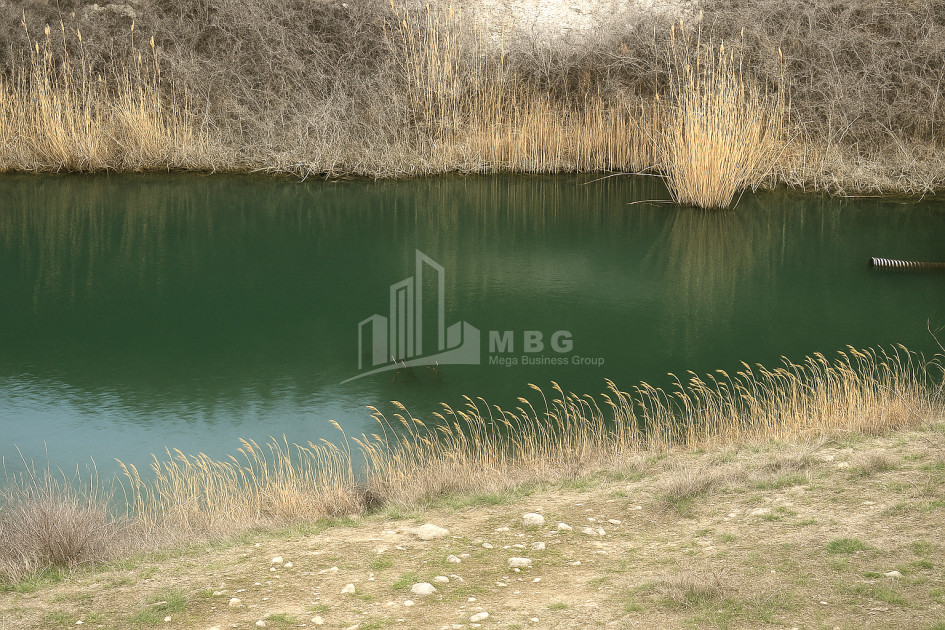 For Sale Land Gachiani Gardabani Kvemo Kartli