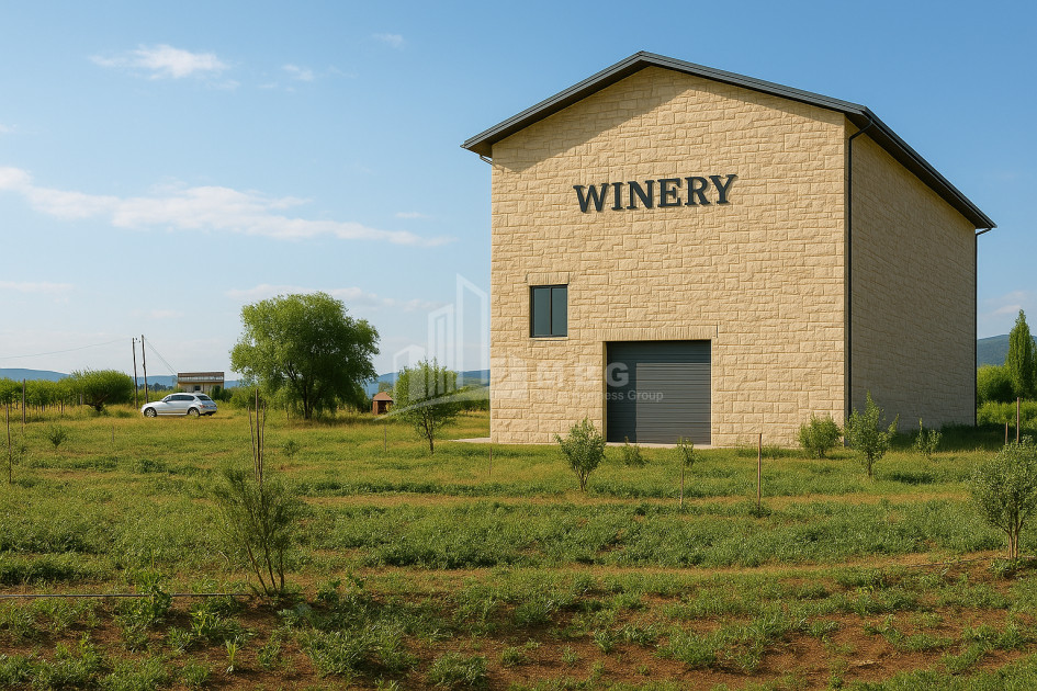 იყიდება კომერციული ფართი დოესი კასპი შიდა ქართლი