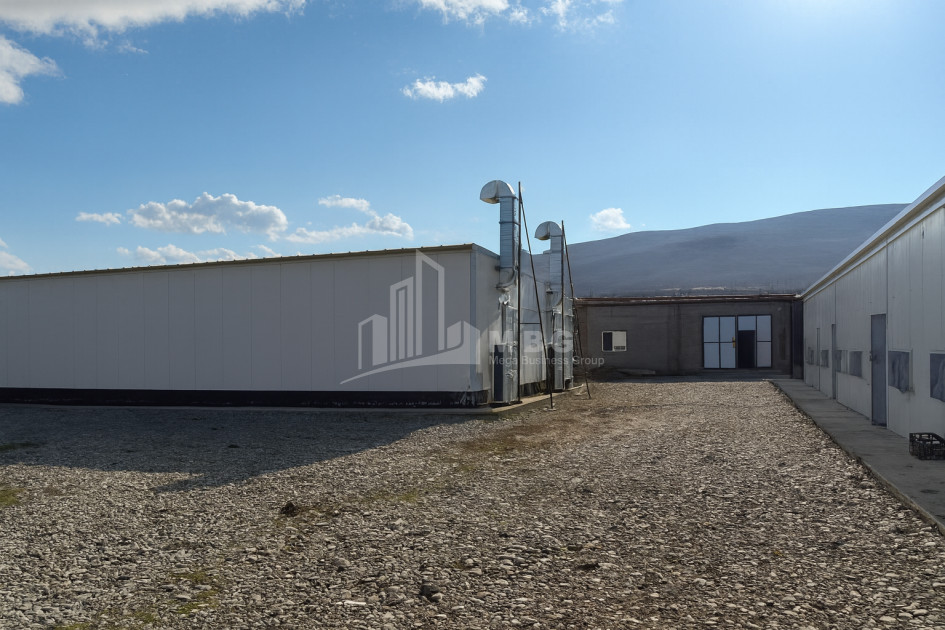 For Sale Commercial Okami Kaspi Shida Kartli