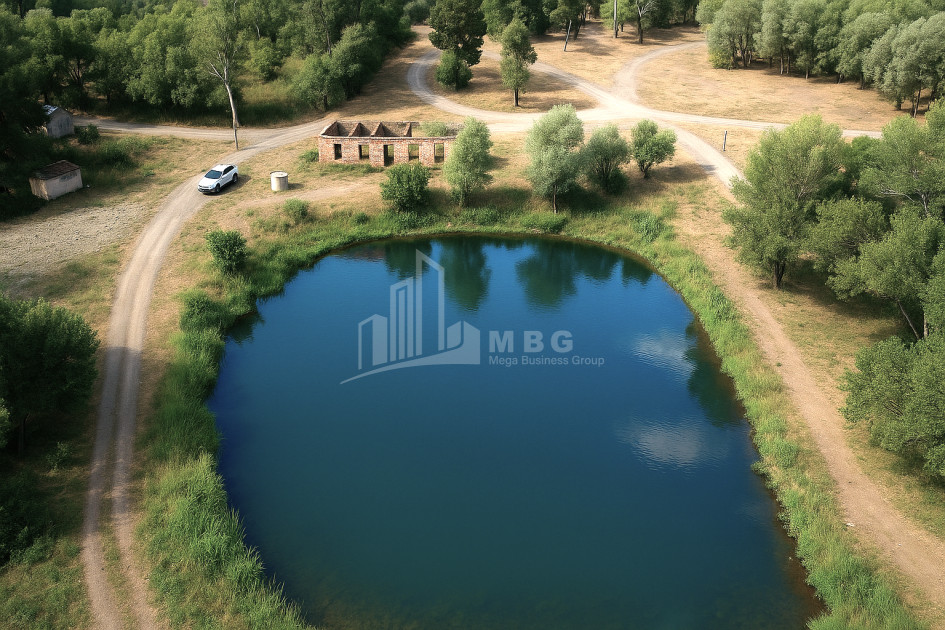 For Sale Land Kekhijvari Kareli Shida Kartli