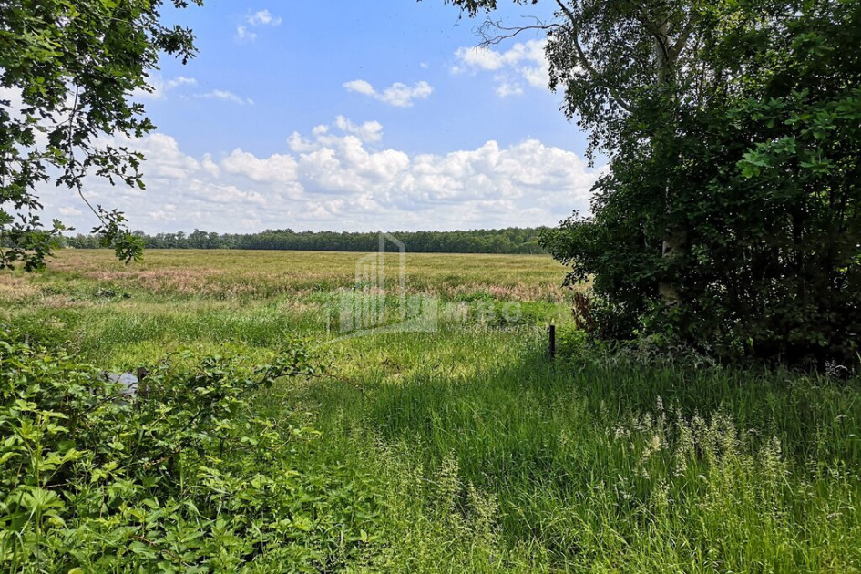For Sale Country Land, in fence