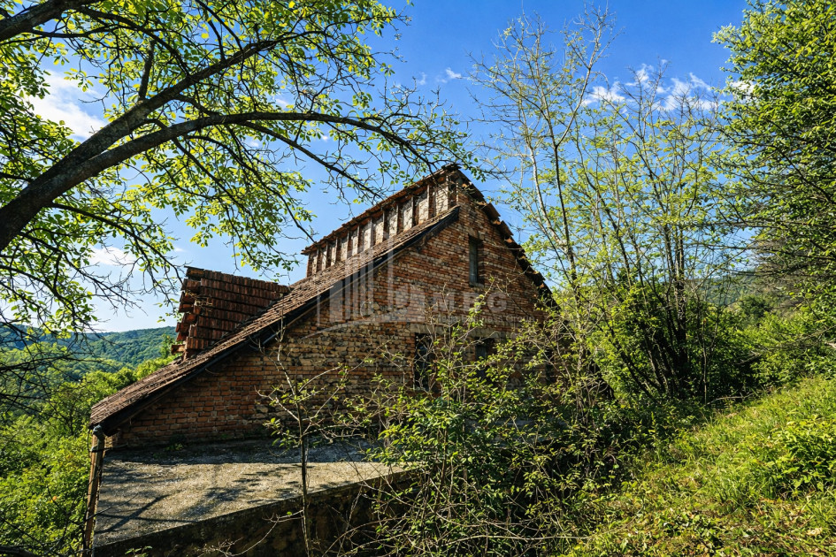 For Sale Old building House - Villa In Sagarejo