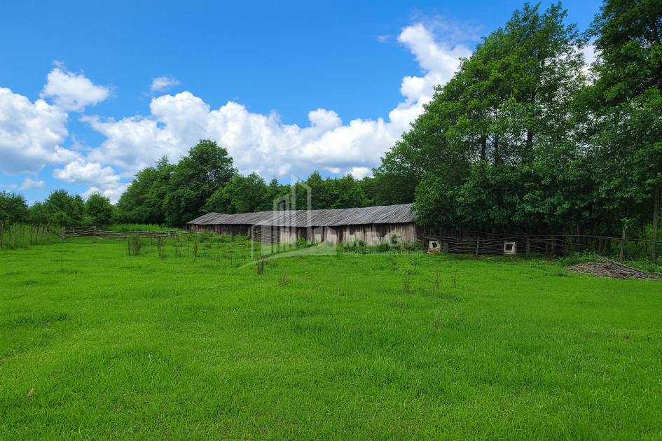 For Sale Land Chibati village Lanchkhuti Municipalities of Guria