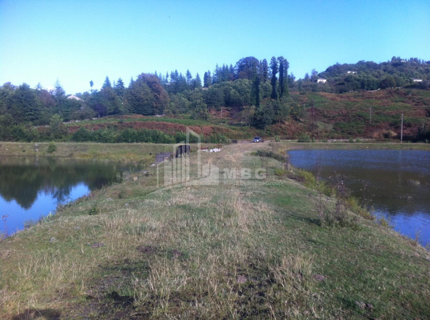 For Sale Land, Zeda Bakhvi, Ozurgeti Municipality, Municipalities of Guria