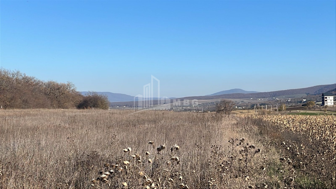 Продается Земля Базалети Душети Мцхета   Мтианети