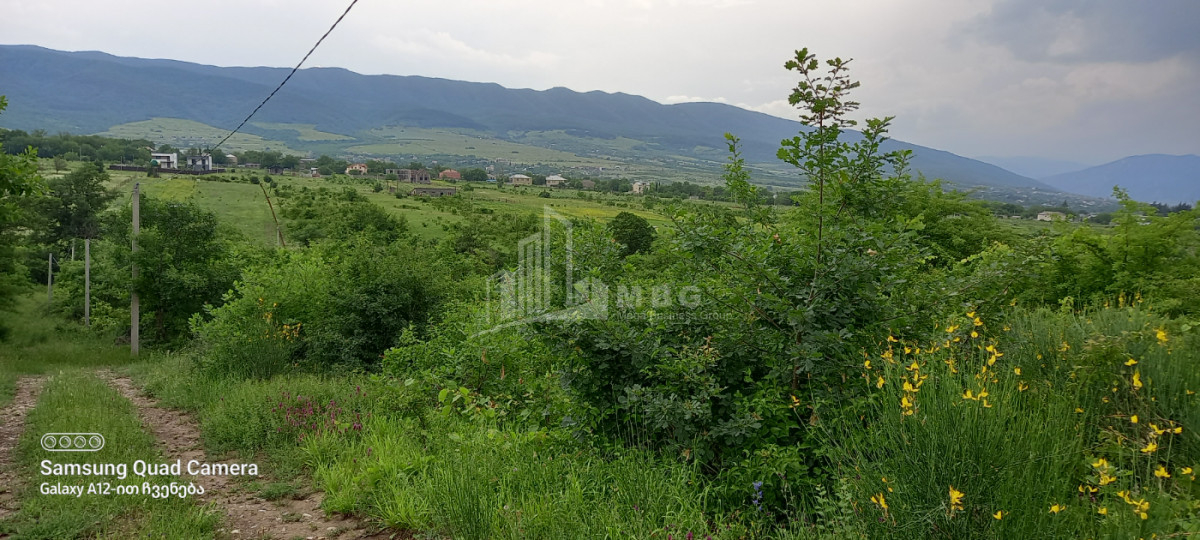 For Sale Land, Tsinamdzgvriantkari, Mtskheta Municipality, Municipalities of Mtskheta   Mtianeti