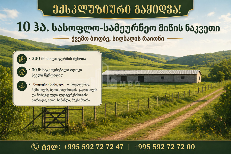 For Sale Farmlands - Pastures Land In Kvemo Bodbe, Signagi