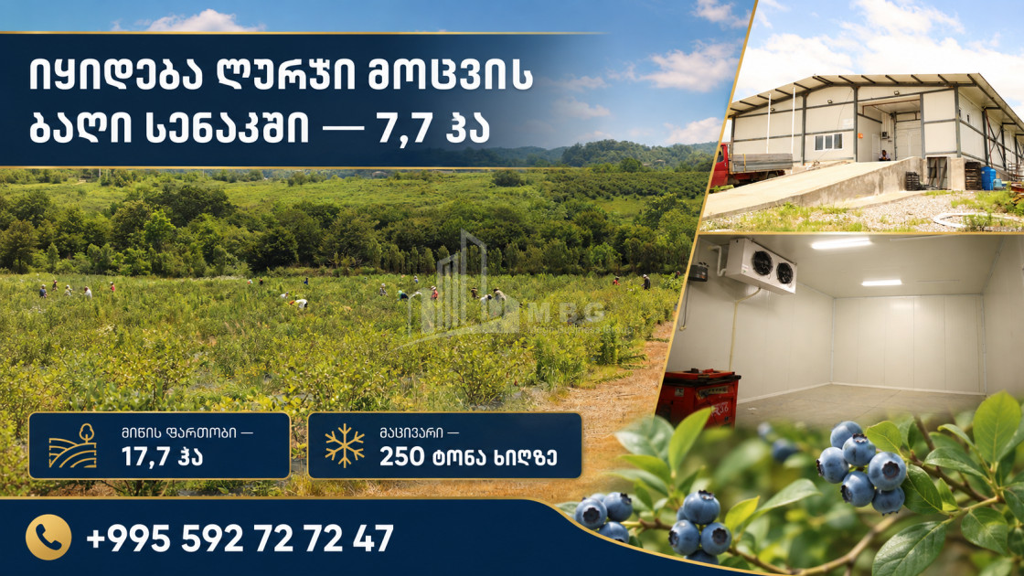 For Sale Orchards Land In Senaki