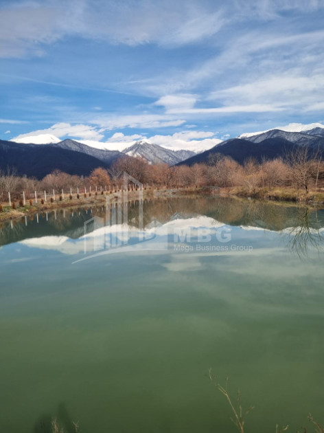 იყიდება მიწის ნაკვეთი ნაფარეული თელავი კახეთი