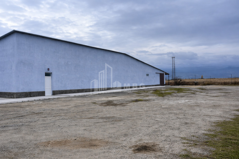 For Sale Refrigerator-freezer area Commercial In Ruisi, Kareli