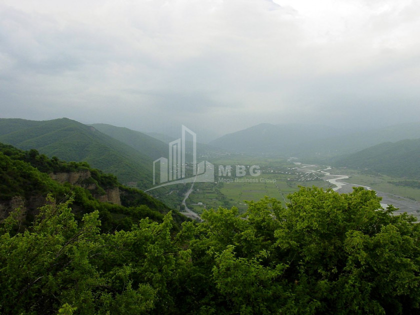 For Sale Country Land, in Aragvispiri