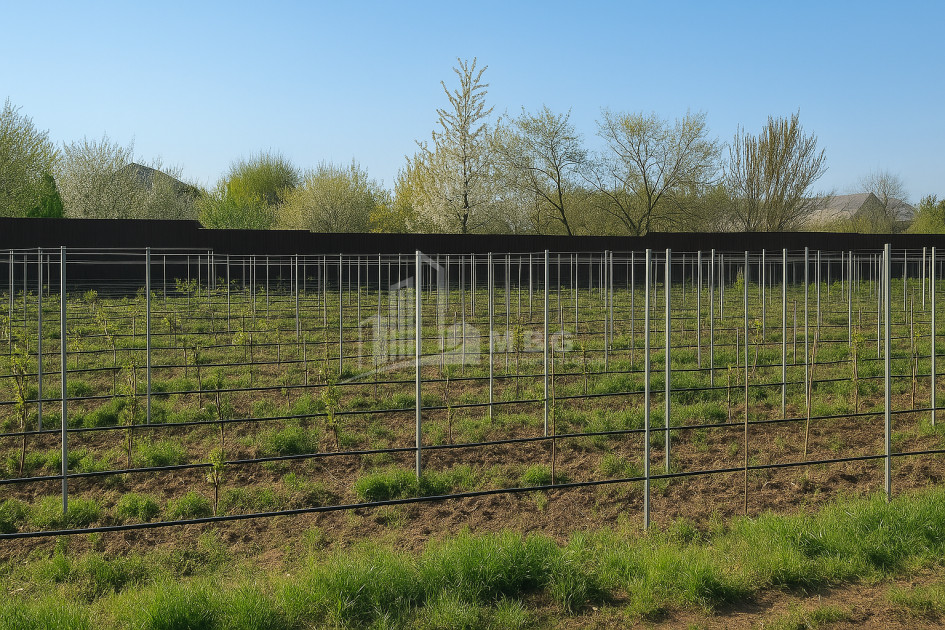 იყიდება კომერციული ფართი ძეგვი მცხეთა მცხეთა   მთიანეთი