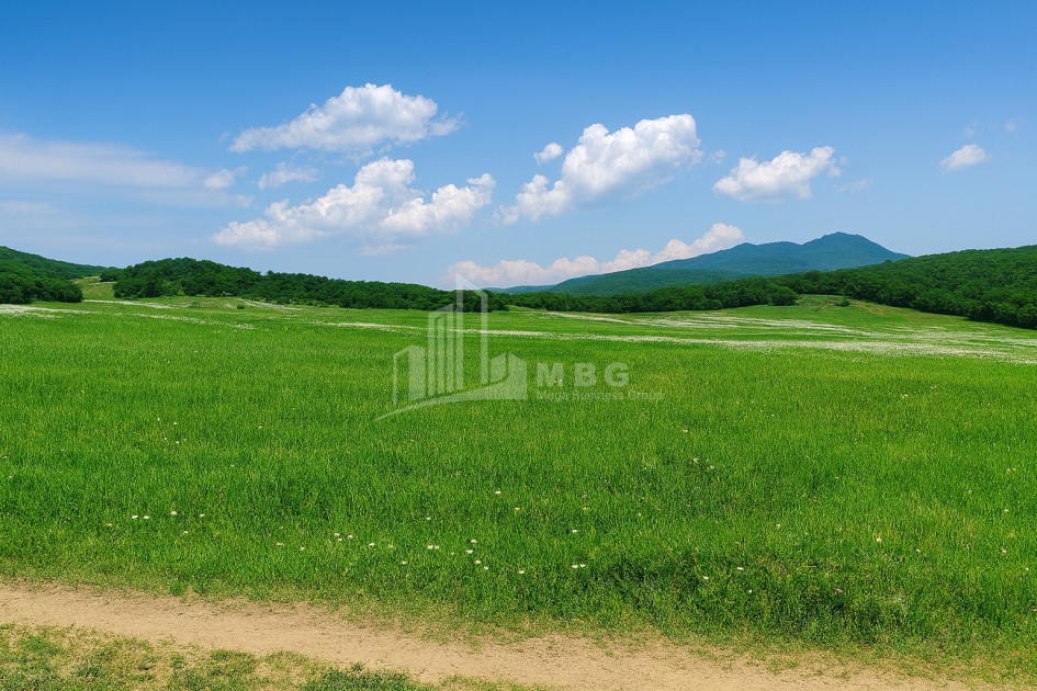 Продается Земля Гомбори Сагареджо Кахети