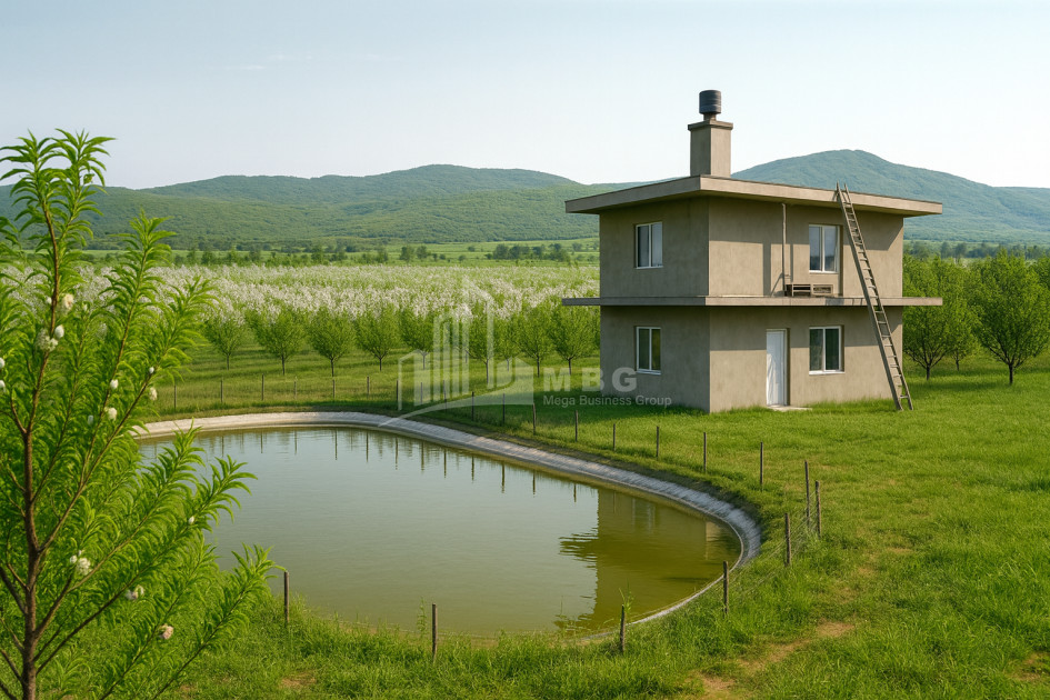For Sale Land Bolnisi Kvemo Kartli