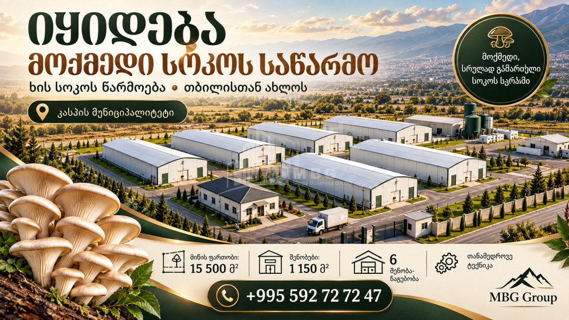 იყიდება 🍄 სოკოს საწარმოო ქარხანა კომერციული ფართი ოკამში, კასპი