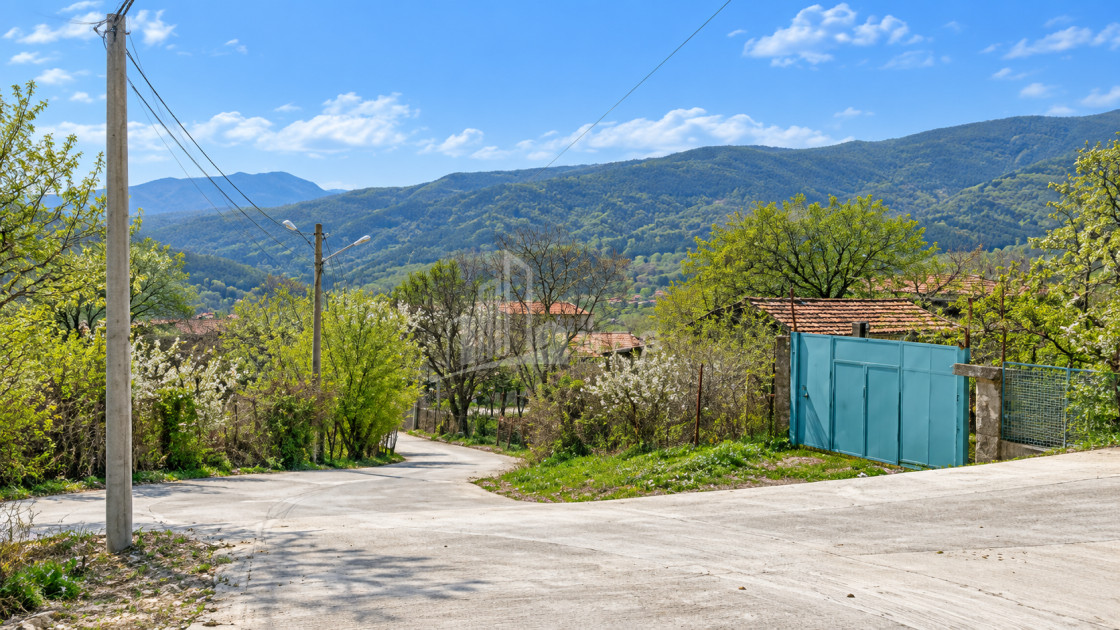 For Sale Country Land In Tsitsamuri, Mtskheta