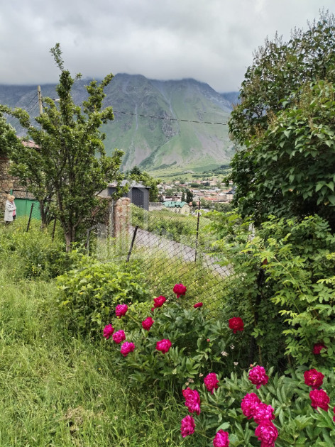 For Sale House Villa Gergeti Kazbegi Mtskheta   Mtianeti