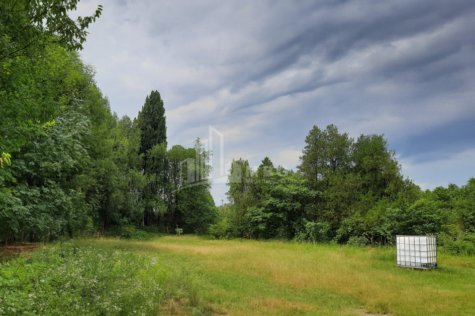 იყიდება კომერციული ფართი თელავი კახეთი