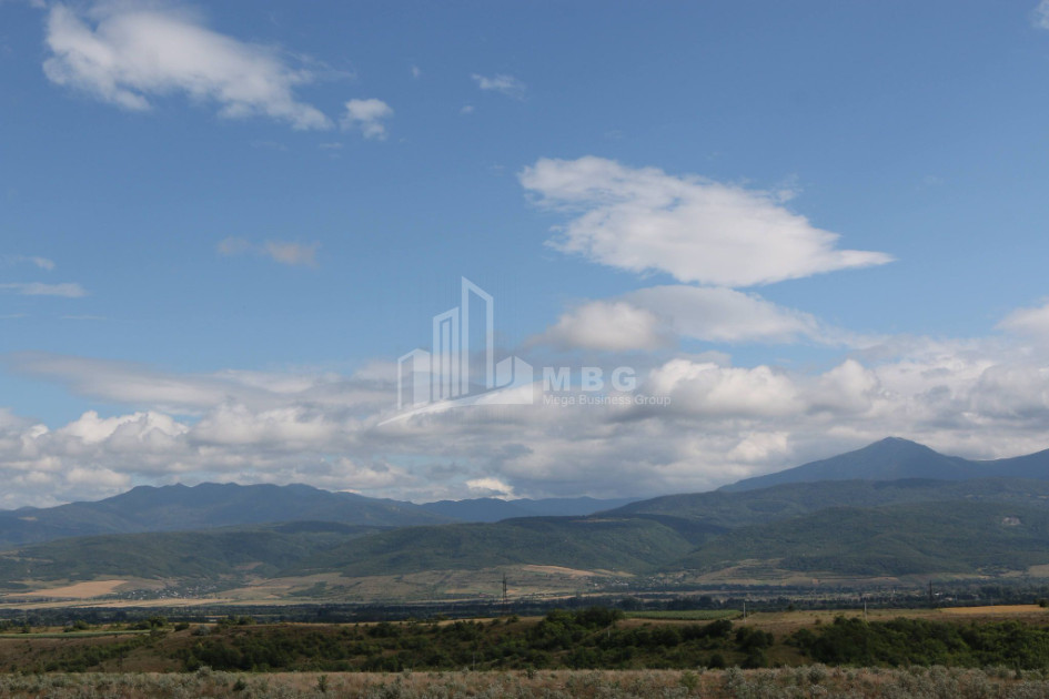 For Sale Country Land, in Borjomi