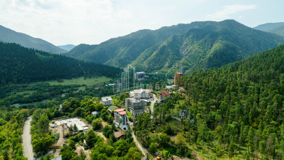 For Sale Commercial Likani Borjomi Samtskhe   Javakheti