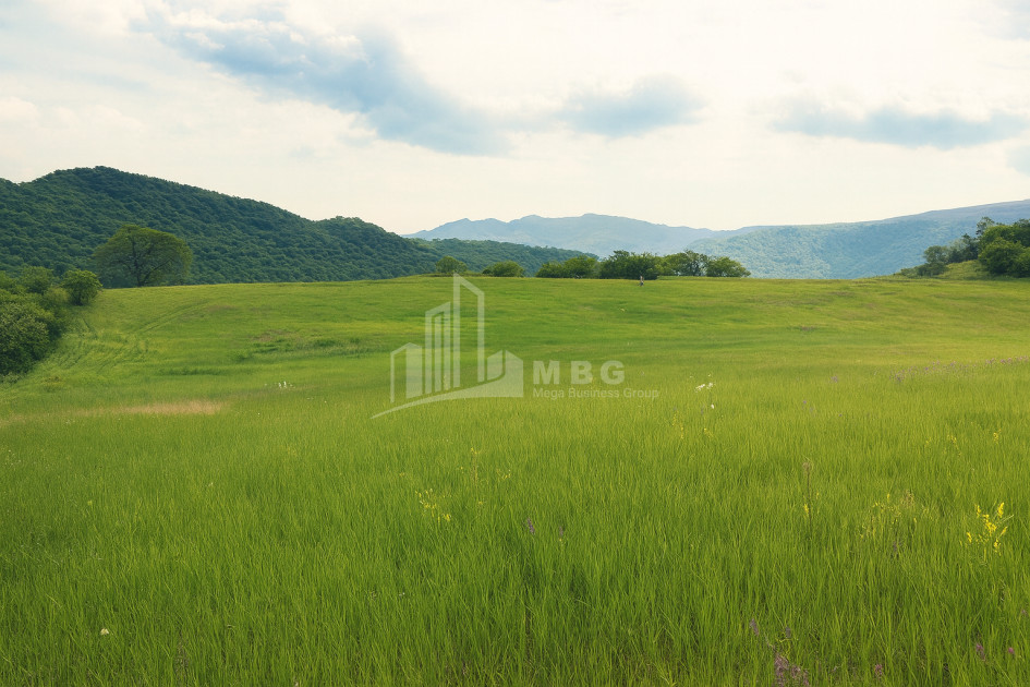 Продается Земля Гомбори Сагареджо Кахети