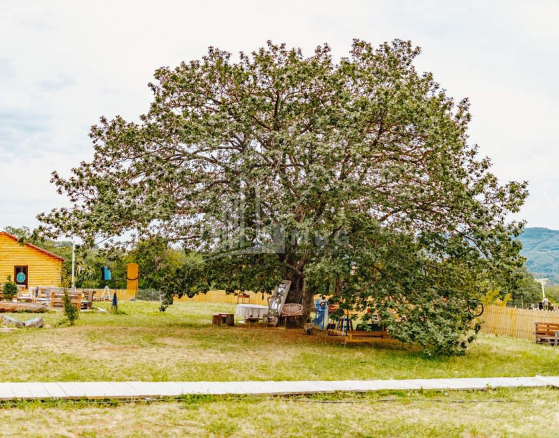 For Sale Construction - Investment Land, in Tetritskaro