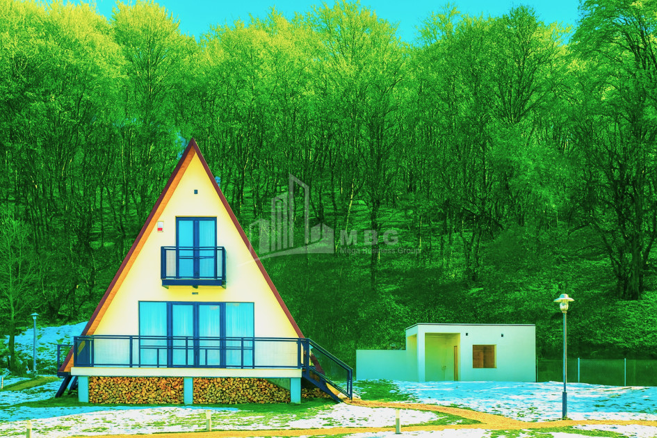 For Sale House Villa Tskhvarichamia Mtskheta Mtskheta   Mtianeti