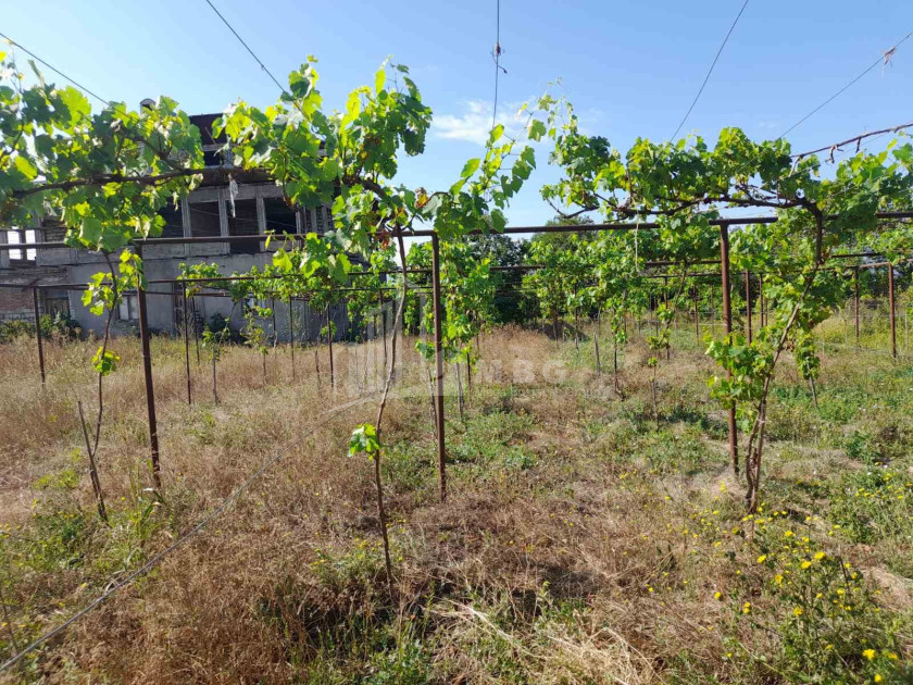 For Sale House Villa Dzalisi Mtskheta Mtskheta   Mtianeti