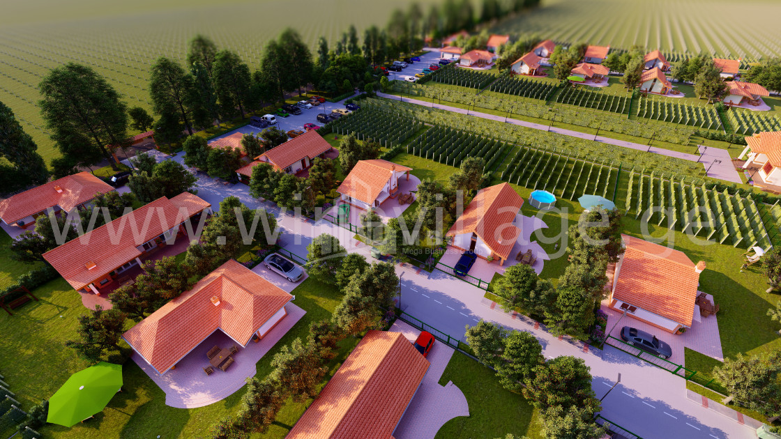 For Sale House - Villa, in Kvareli