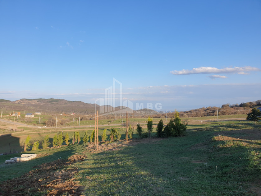 For Sale House Villa Orbeti Tetritskaro Kvemo Kartli