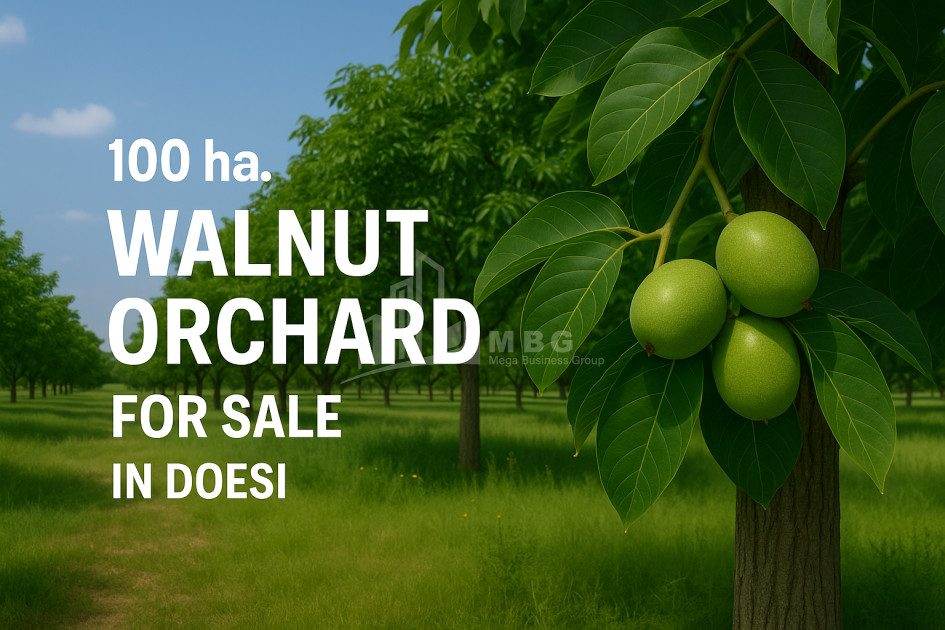 For Sale Land Does Kaspi Shida Kartli