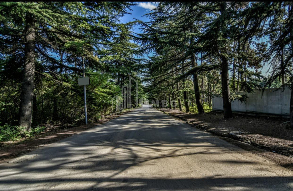 For Sale House - Villa, in Okrokana