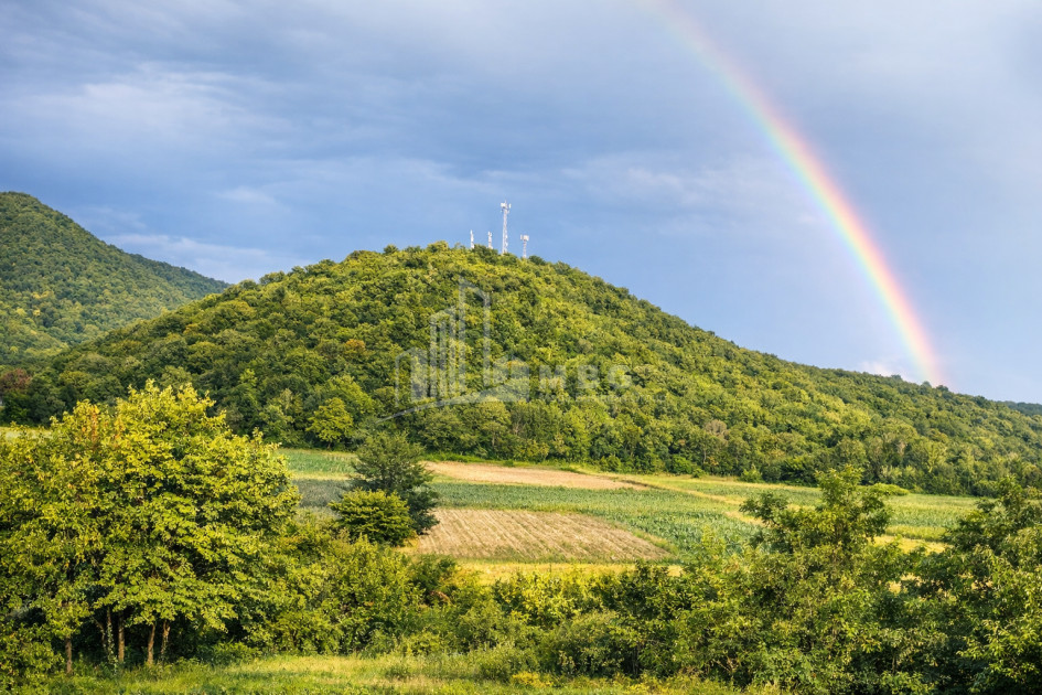 Business for sale Commercial Telavi Kakheti