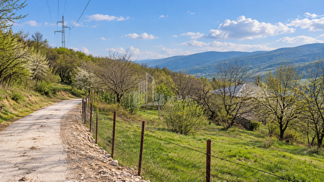 For Sale Country Land In Tsitsamuri, Mtskheta