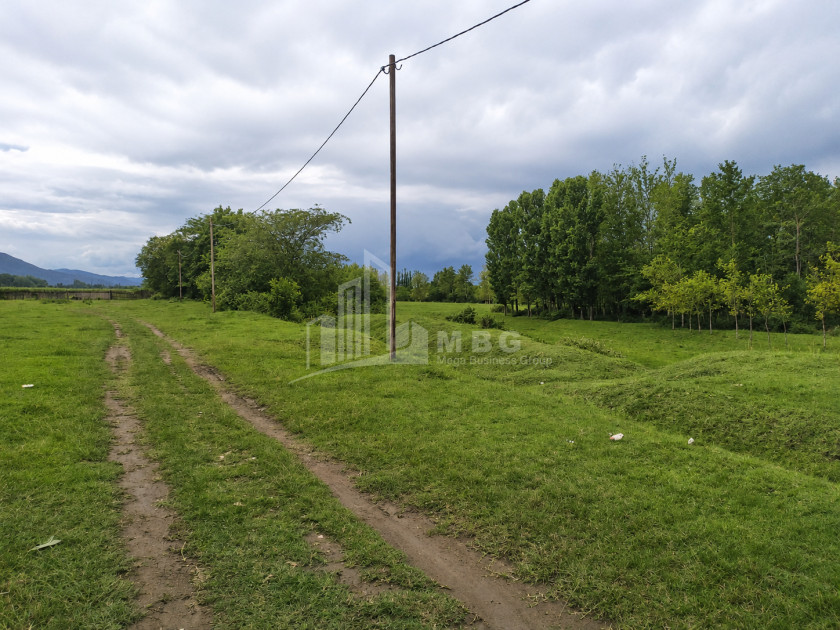 For Sale Orchards Land In Abasha
