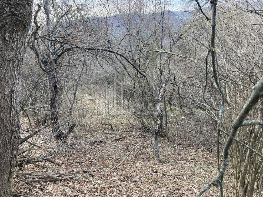 For Sale Residential Land, in Kojori