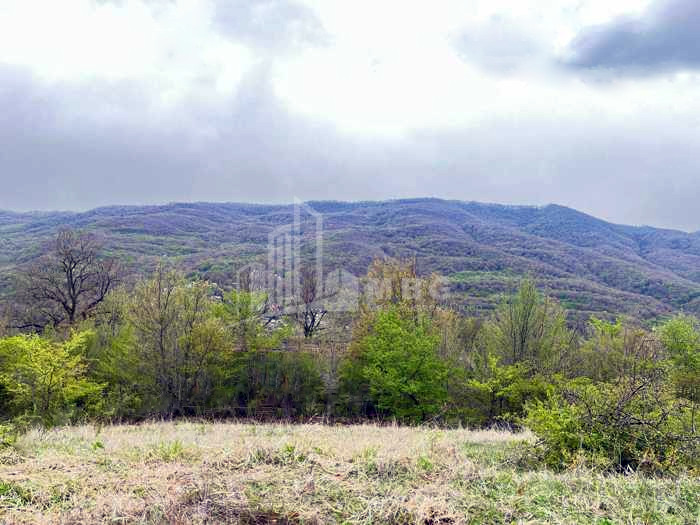 იყიდება მიწის ნაკვეთი ბურიანი მცხეთა მცხეთა   მთიანეთი