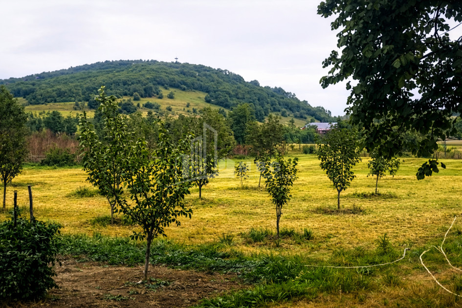 Продается Земля Душети Мцхета   Мтианети