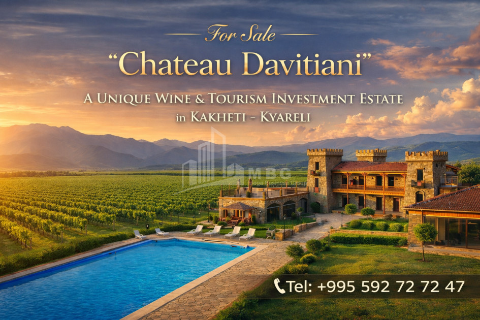 For Sale Chateau / Wine factory Commercial In the Kvareli City, Kvareli