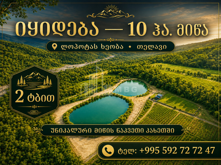 For Sale Camping / Ranch Land In Telavi