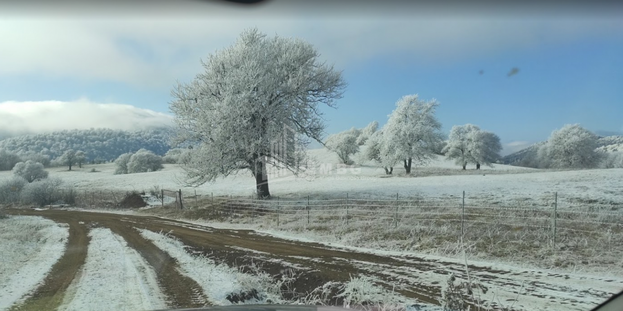 იყიდება სახნავ - სათესი მიწის ნაკვეთი, ზემო გოსტიბე